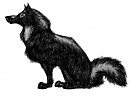 Achak Sketch