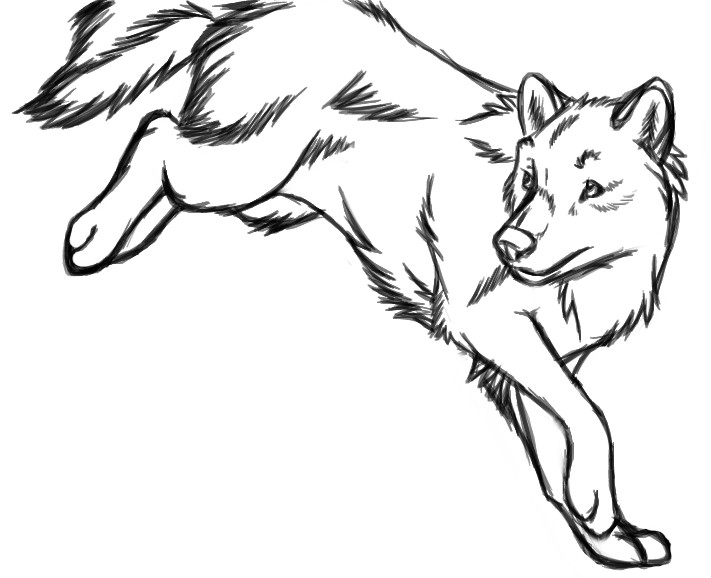'Nother Wolf Sketch