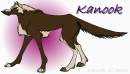 Kanook