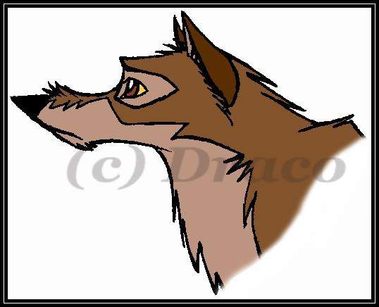 My first Balto Pic!