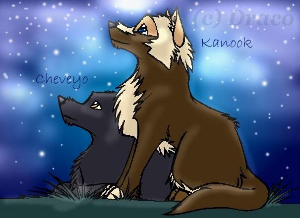 Star Gazing