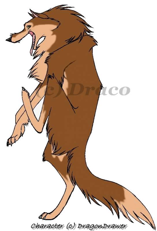 DD Wolf