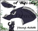 A Wolf's Story *colored*