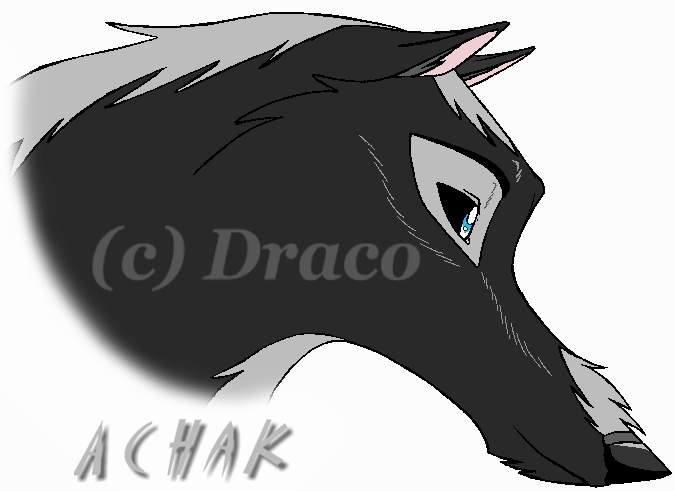 Achak headshot