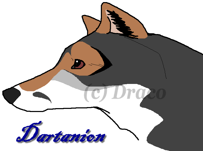 New Wolf Char: Dartantion