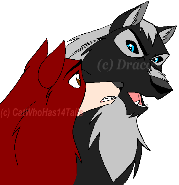 Balto Style Achak and Kiona!