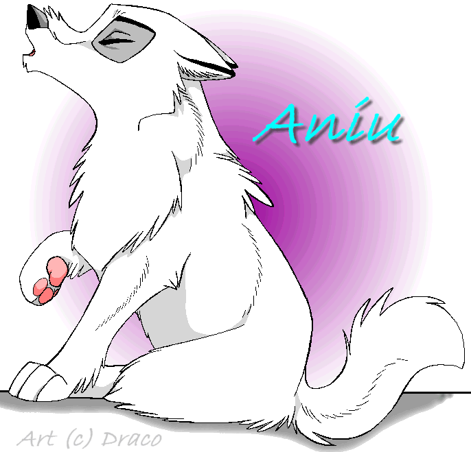Aniu Puppy