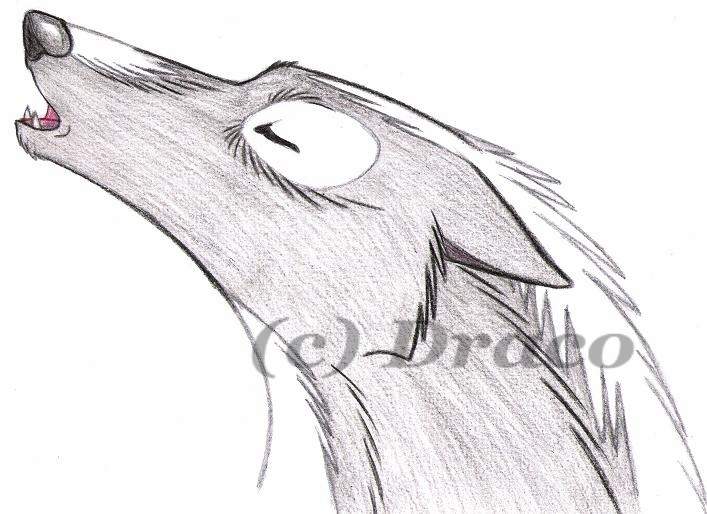 Achak Howling
