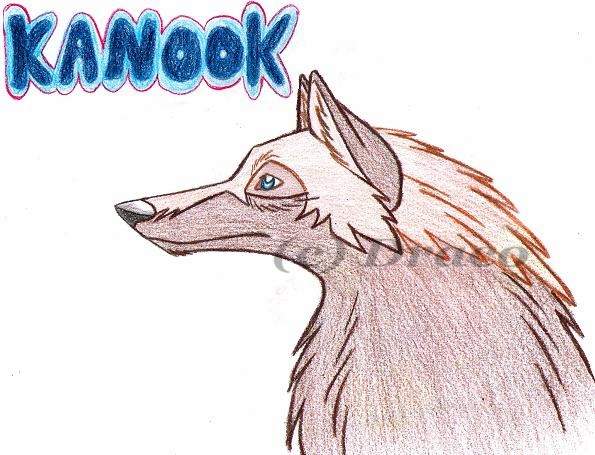 Kanook