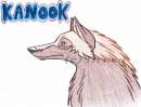 Kanook
