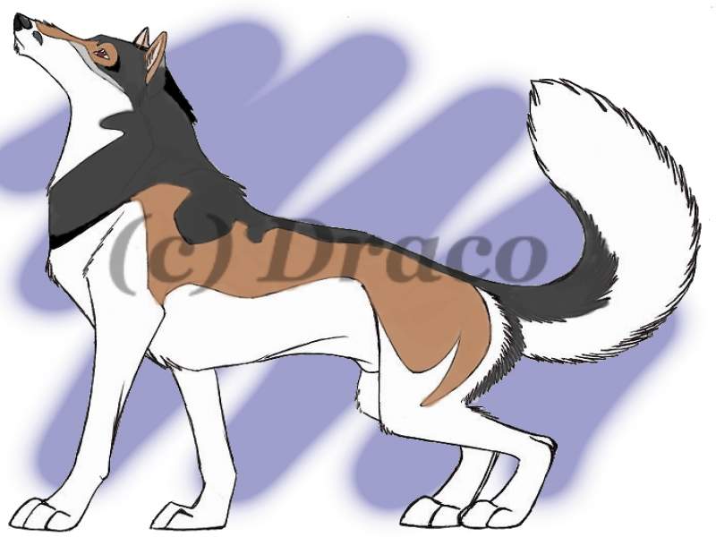 Dartanion *Full Body*