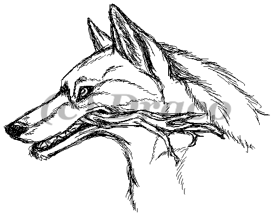 Tablet Wolf w/ Stick Sketch