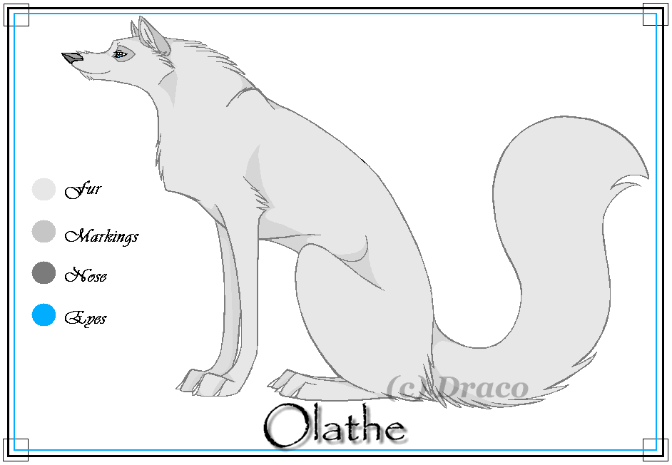 Olathe Character Sheet