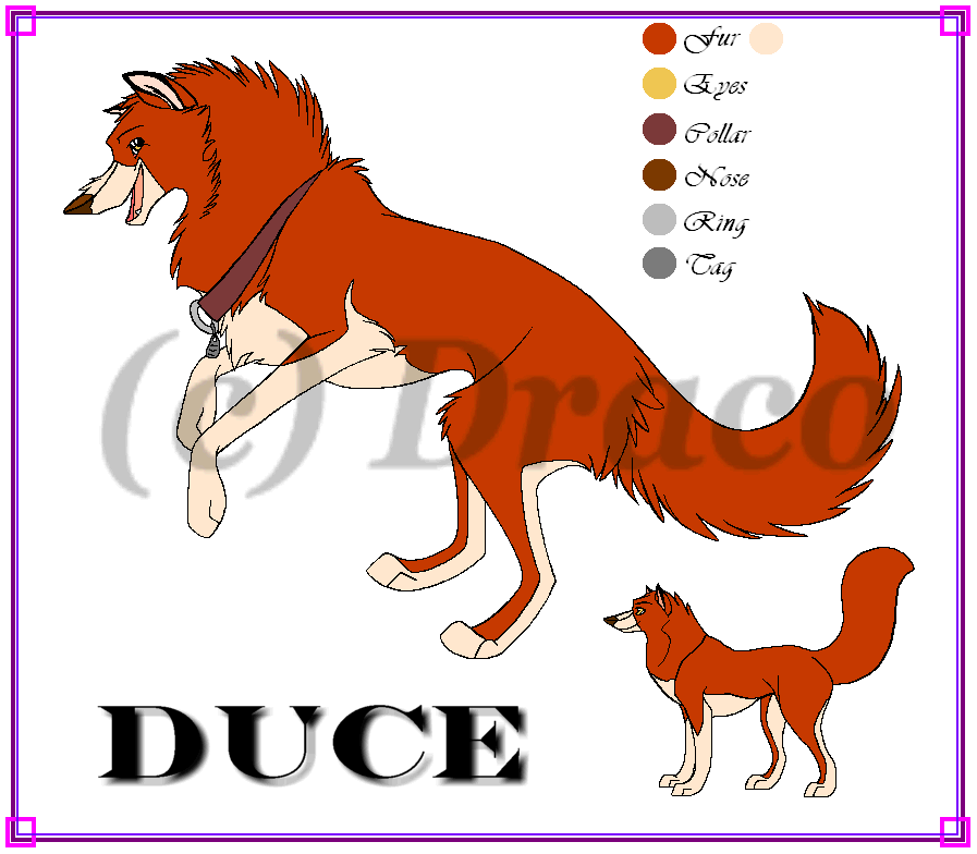 Duce!