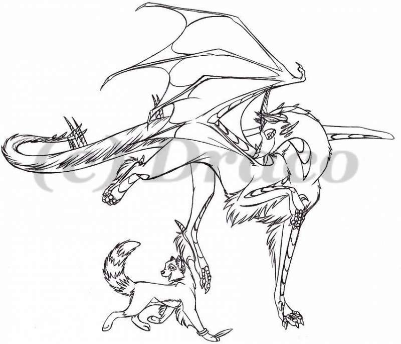 Trade With Spirit The Cat