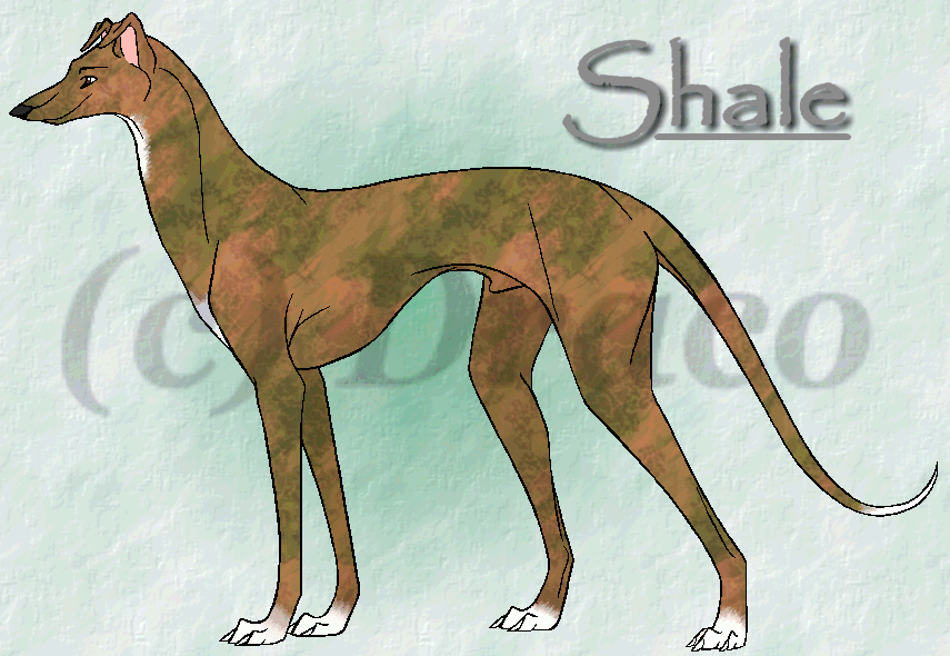 Shale For Hrry!