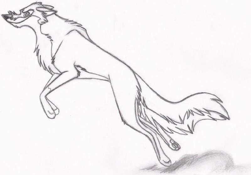 Balto leap