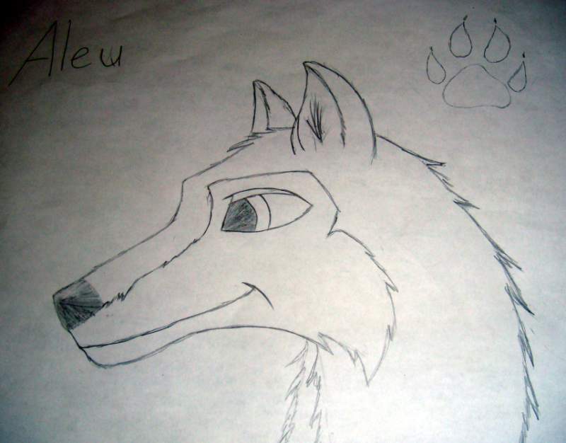 Aleu