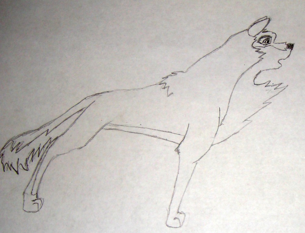 Balto