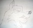 Snarl says Niju.