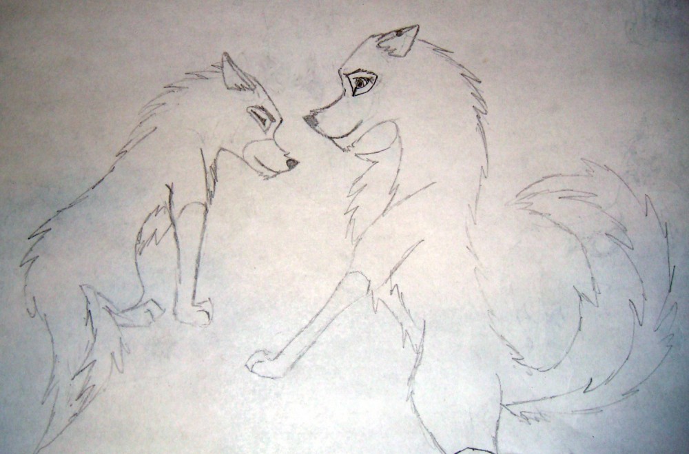 Jayla & Ravou 