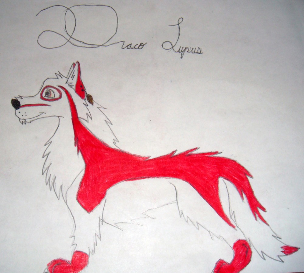 Draco Lupus, new char!