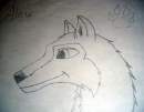 Aleu