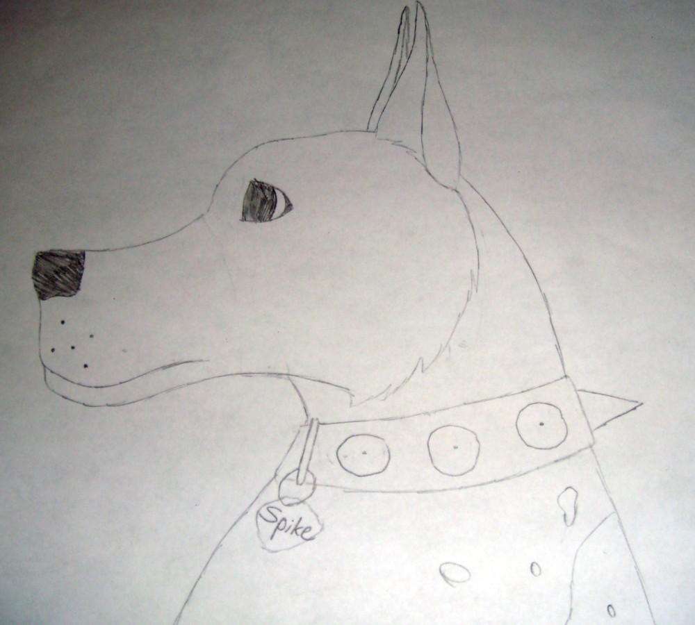 Great Dane Request from frisbee333