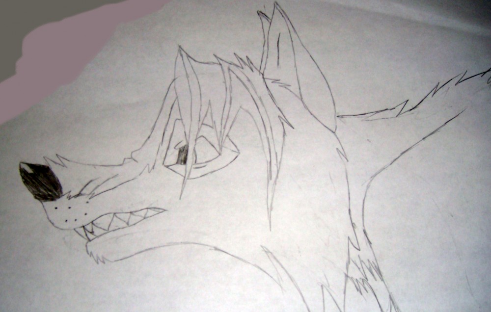 Snarl