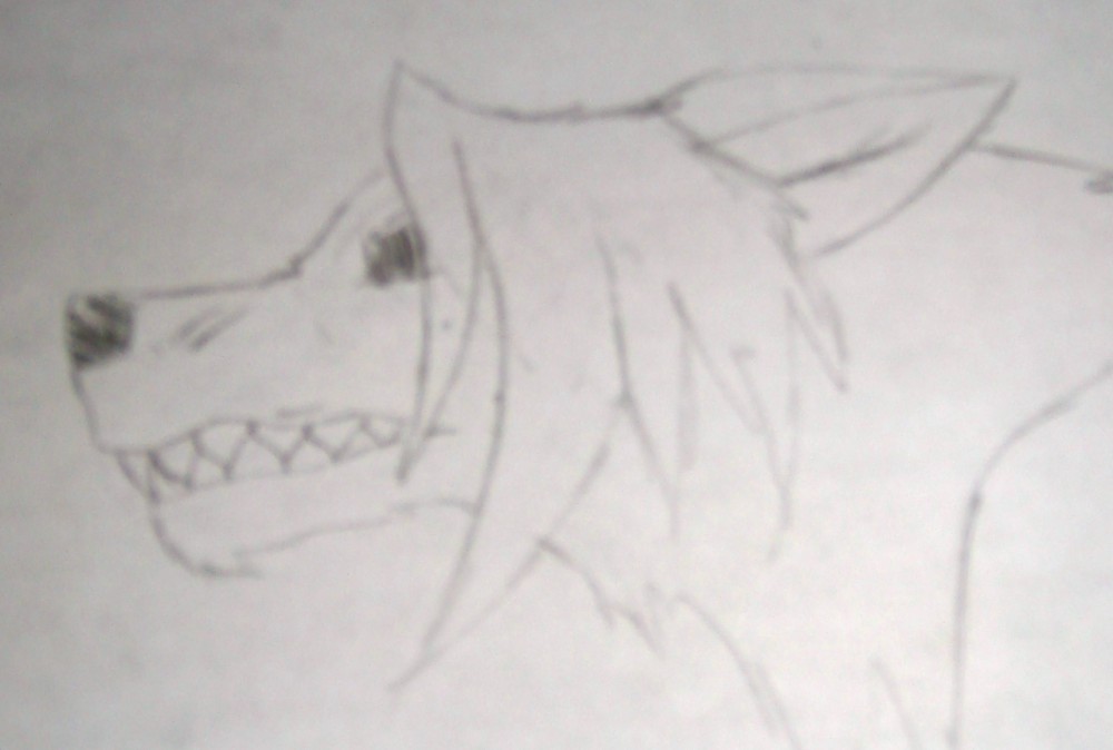 Random snarl.