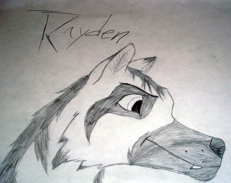 Rayden