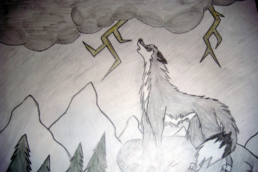Wolf-with-brown-eyes's request