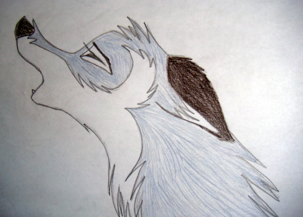Howl