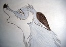 Howl