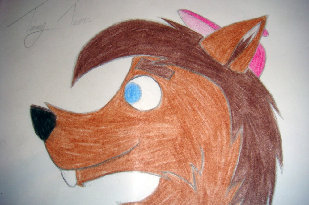 Timmy Turner as a wolf