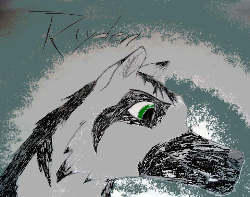 Rayden (colored)