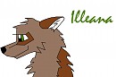 New char, Illeana