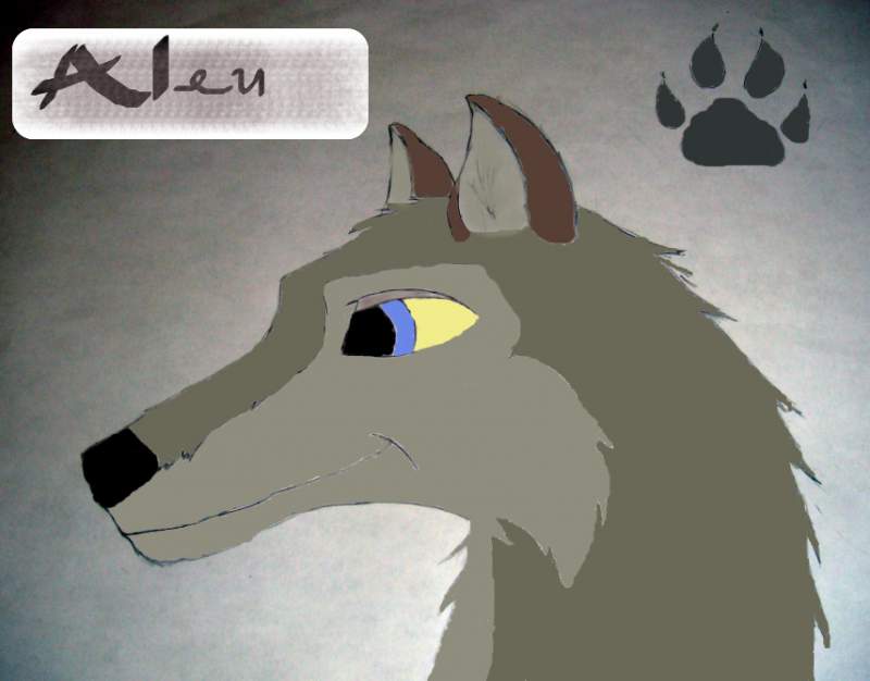 Colored Alue