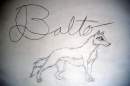 Balto