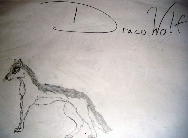 Dracowolf