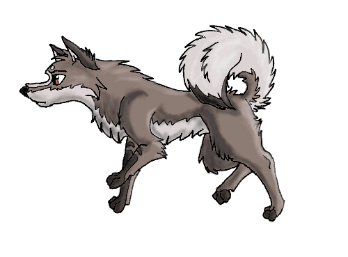 Finished adoption entry picture