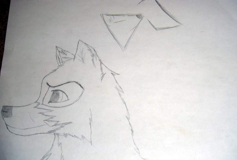DJ