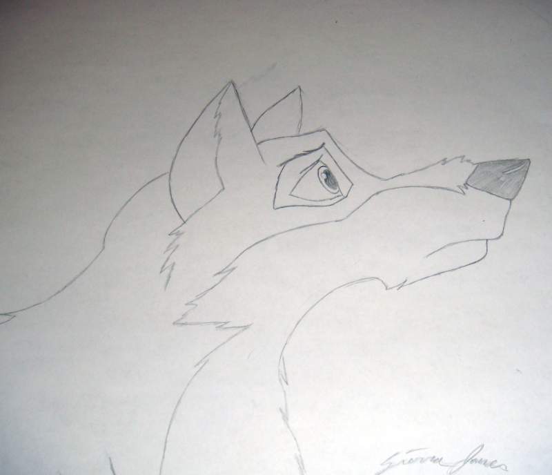 Balto 