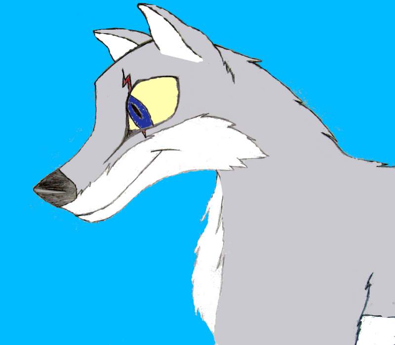 Colored Sawyer