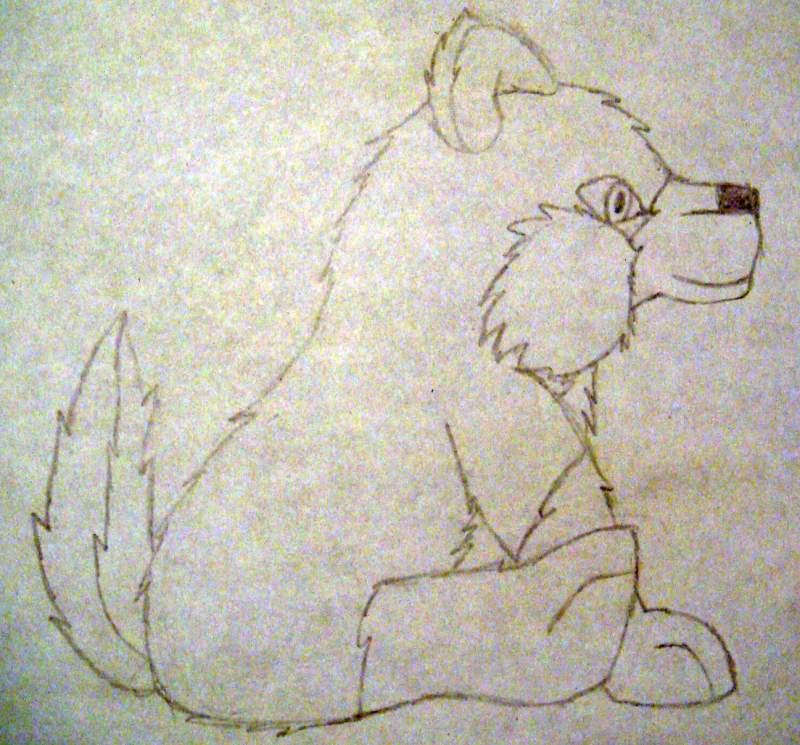 Pudgy puppy doodle