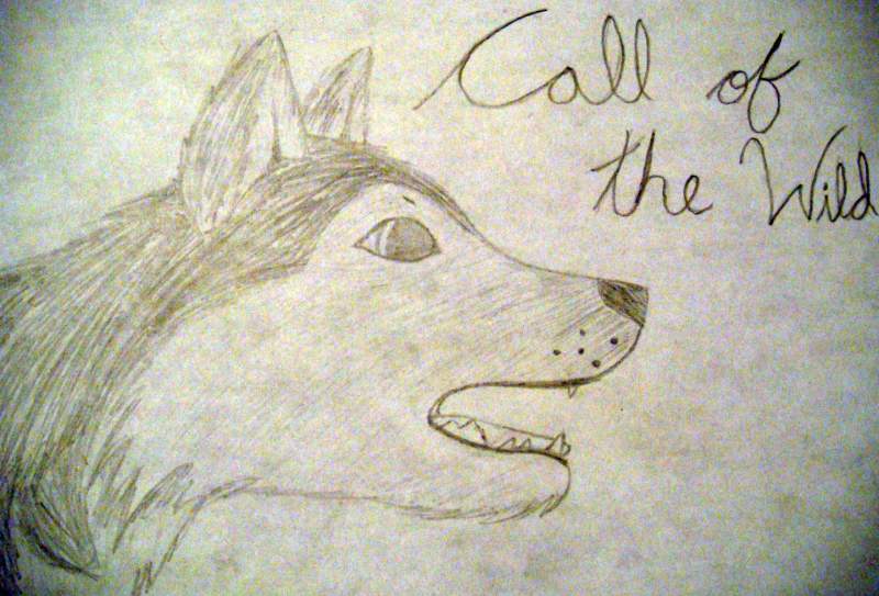 Buck, the Call of the Wild