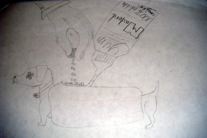 Hot dog