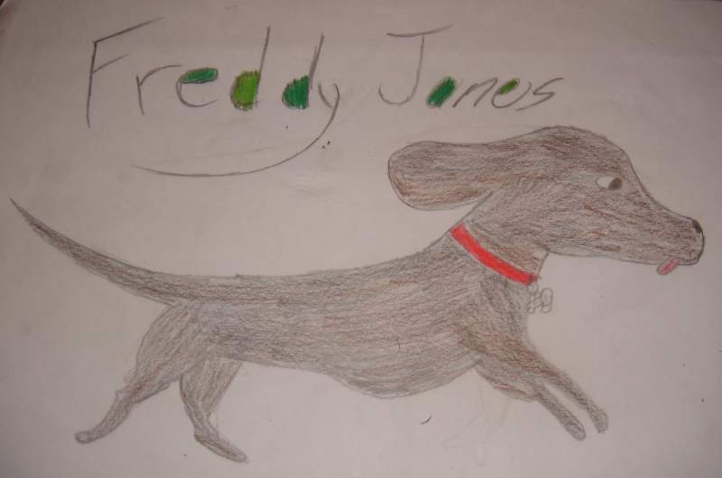 Freddy Jones
