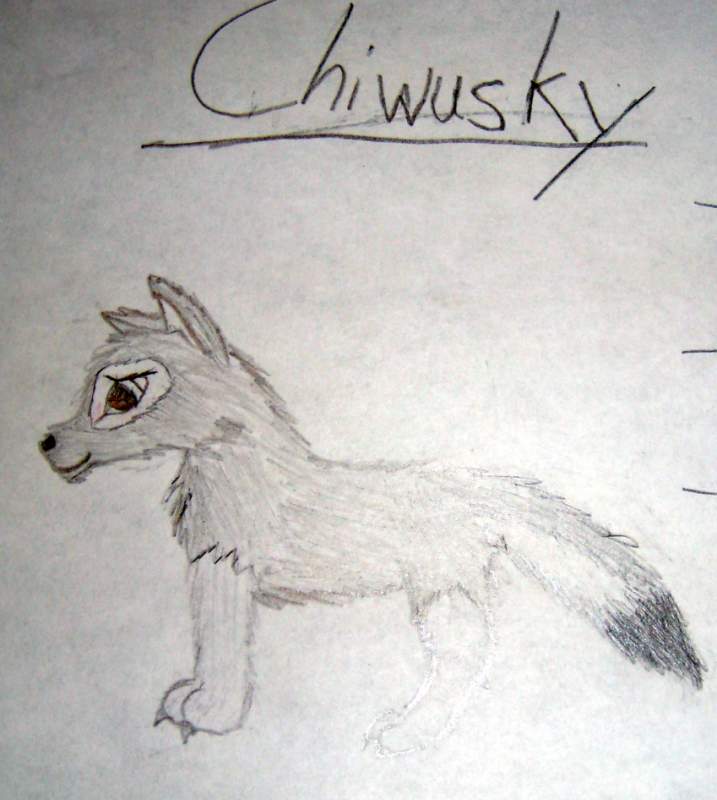 Chiwusky