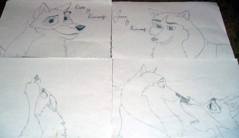 Important momments in Balto's history